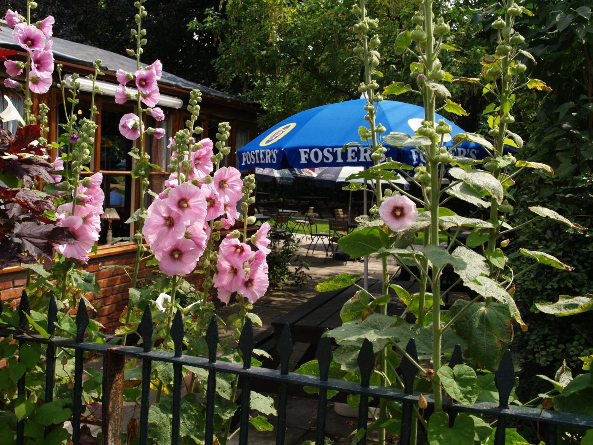 The Olde Windmill Inn Great Cressingham Buitenkant foto