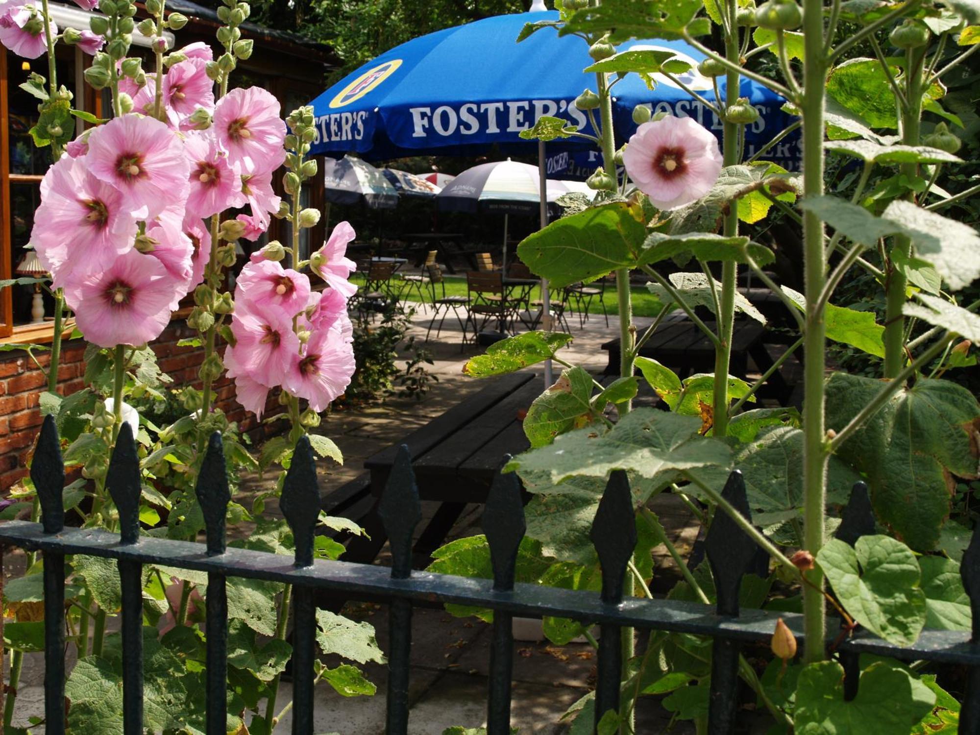 The Olde Windmill Inn Great Cressingham Buitenkant foto